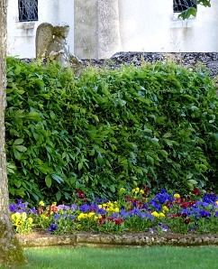 ange de l'abbaye